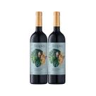 Combo de Vinhos Sem Álcool Tinto Meio Seco Bordô Despido - 750mL - Nacional - 02 UN