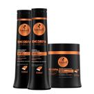 Combo Engrossador Shampoo, Condicionador e Máscara 500ml/g Haskell Encorpa Cabelo