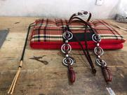 Combo Manta Estampada Tala Chicote Cabeçada Para Cavalo Muar