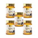 Combo Mel Flores do Campo Vidro 450g Fazenda Sedrez - 5 unid Combo Mel Flores do Campo Vidro 450g Fazenda Sedrez - 5 unid
