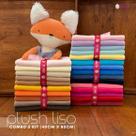 Combo Plush Liso 5Kit Aveludado para Naninhas e Artesanatos, 25 Recortes 40x80cm