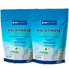Combo Pré Treino 2 Palatinose 1Kg NewNutrition Isomaltulose Liberação Prolongada da Glicose/Energia Combo Pré Treino 2 Palatinose 1Kg NewNutrition Isomaltulose Liberação Prolongada da Glicose/Energia