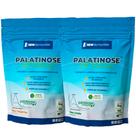 Combo Pré Treino 2 Palatinose 1Kg NewNutrition Isomaltulose Liberação Prolongada da Glicose/Energia Combo Pré Treino 2 Palatinose 1Kg NewNutrition Isomaltulose Liberação Prolongada da Glicose/Energia