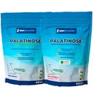 Combo Pré Treino 2 Palatinose 1Kg NewNutrition Isomaltulose Liberação Prolongada da Glicose/Energia Combo Pré Treino 2 Palatinose 1Kg NewNutrition Isomaltulose Liberação Prolongada da Glicose/Energia