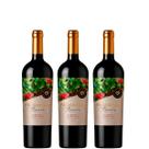 Combo Primavera Reserva Cabernet Sauvignon - 3 garrafas