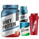 Combo shark pro whey protein morango + creatina + bcaa pote