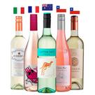 Combo Sol, Risadas e Vinho! 750ml