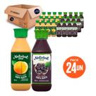 Combo Suco Natural One 24x180ml 100% Suco Uva Maçã + Laranja Maçã, Ideal para Lancheira