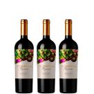 Combo Vinhos Chilenos Primavera Reserva Carmenere - 3 garrafas Combo Vinhos Chilenos Primavera Reserva Carmenere - 3 garrafas