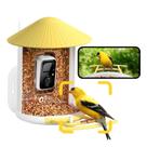 Comedero Inteligente para Pájaros NETVUE por Birdfy con Cámara, Captura Automática AI de Cada Visita y Identificación de Más de 6000 Especies, Almacenamiento en la Nube y Observación en Vivo, Regalo Ideal (Amarillo)