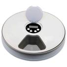 Comedouro Alimentador Automático para Pet 6 Compartimentos Kala
