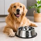 Comedouro Antiderrapante Redondo Para Cachorro E Gato 30 cm - Inox Comedouro Antiderrapante Redondo Para Cachorro E Gato 30 cm - Inox