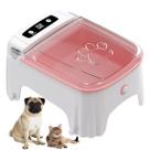 Comedouro Automatico Cao Gato Cachorro Pet Raçao Petisco Animal de Estimaçao Sensor de Presença Movimento Temporizador Regulavel Alimentaçao Saudavel