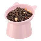 Comedouro Bebedouro Elevado Inclinado Gatos E Cães - ROSA