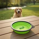 Comedouro/bebedouro Pet Retrátil Silicone Portátil C/ Gancho Cor:Verde-limão