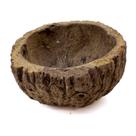 Comedouro coco castanha