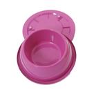 Comedouro e Bebedouro Alvorada Pesado e Gelado Anti Formigas Rosa para Cães e Gatos - Tamanho M Comedouro e Bebedouro Alvorada Pesado e Gelado Anti Formigas Rosa para Cães e Gatos - Tamanho M