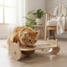 Comedouro e Bebedouro de vidro higiênico para Gatos