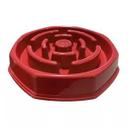 Comedouro educativo foodtimer - 500 g
