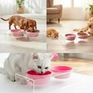 Comedouro Elevado Acrílico Transparente Pote Água e Ração para Gato e Cachorro