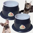 Comedouro Elevado com Antiformiga e Pote de Ração 400ml Ideal para Cães e Gatos, Conforto e Higiene!