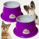 Comedouro Elevado com Antiformiga e Pote de Ração 400ml Ideal para Cães e Gatos, Conforto e Higiene!