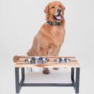 Comedouro elevado para cães e gatos estilo Industrial Mr. Toni