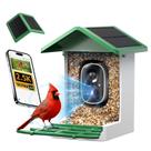 Comedouro Inteligente para Pássaros isYoung com Câmera IA 2,5K Solar IP65