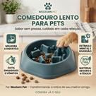 Comedouro Lento em Formato de Osso Comedouro Lento em Formato de Osso