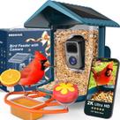 Comedouro para Pássaros BIRDSFAVE com Câmera Solar 2K WiFi 1,8 L
