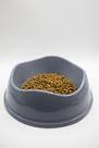 Comedouro Pet Bowl 350ml Cores Exclusivas Antiderrapante em Polipropileno
