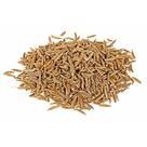 Cominho Semente - PREMIUM - 50 GR. -