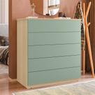 Cômoda para Quarto com 5 Gavetas Compacta 86,8CMX45CMX91,5cm Marrom/Amêndoa Imperial/Verde Cômoda para Quarto com 5 Gavetas Compacta 86,8CMX45CMX91,5cm Marrom/Amêndoa Imperial/Verde