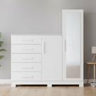Cômoda Sapateira Com Espelho 2 Portas 5 Gavetas Trieste A04 Branco - Lyam Decor