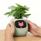 Companheiro de mesa AI interativo Smart Plant Pet PLANTSIO Ivy