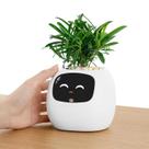 Companheiro de mesa AI interativo Smart Plant Pet PLANTSIO Ivy