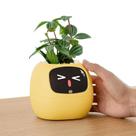 Companheiro de mesa AI interativo Smart Plant Pet PLANTSIO Ivy