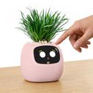 Companheiro de mesa AI interativo Smart Plant Pet PLANTSIO Ivy