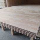 Compensado de pinus naval (79cm x 54cm x 18mm)