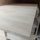 Compensado de pinus naval (79cm x 54cm x 25mm)