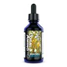 Complexo Aquático de Aminoácidos CoralAmino Brightwell 60 mL Complexo Aquático de Aminoácidos CoralAmino Brightwell 60 mL