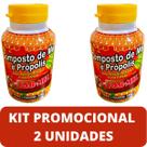 Composto Antigripal Farmel Mel, Própolis, Abacaxi, Acerola e Frutas Cítricas 350g Kit Promocional 2 Unidades