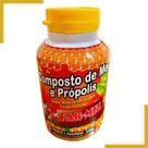 Composto Antigripal Farmel Mel, Própolis, Abacaxi, Acerola e Frutas Cítricas 350g