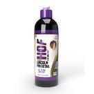 Composto polidor 1 etapa high one fast 4 em 1 Hof 500ml Lincoln