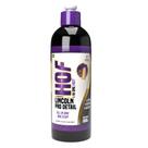 Composto Polidor 4 em 1 HOF Lincoln 500ml