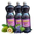 Comprar Fruta Noni com Uva Suco Orgânico Alto Padrão Kit 03 Unidades 1.350ml