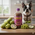 Comprar Fruta Noni Medicinal Orgânico Natural Frasco 500ml Comprar Fruta Noni Medicinal Orgânico Natural Frasco 500ml