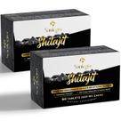 Comprimidos Shilajit Santegra 30.000 mg 120 comprimidos 100% puros Comprimidos Shilajit Santegra 30.000 mg 120 comprimidos 100% puros