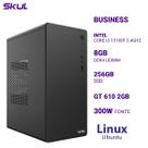 Computador B300 Core I3 13100f 3.4ghz Memória 8gb Ddr4 Ssd 256gb Gt 610 2gb Fonte 300w Linux Ubuntu
