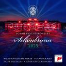 Concerto Sony Uk Summer Night 2025